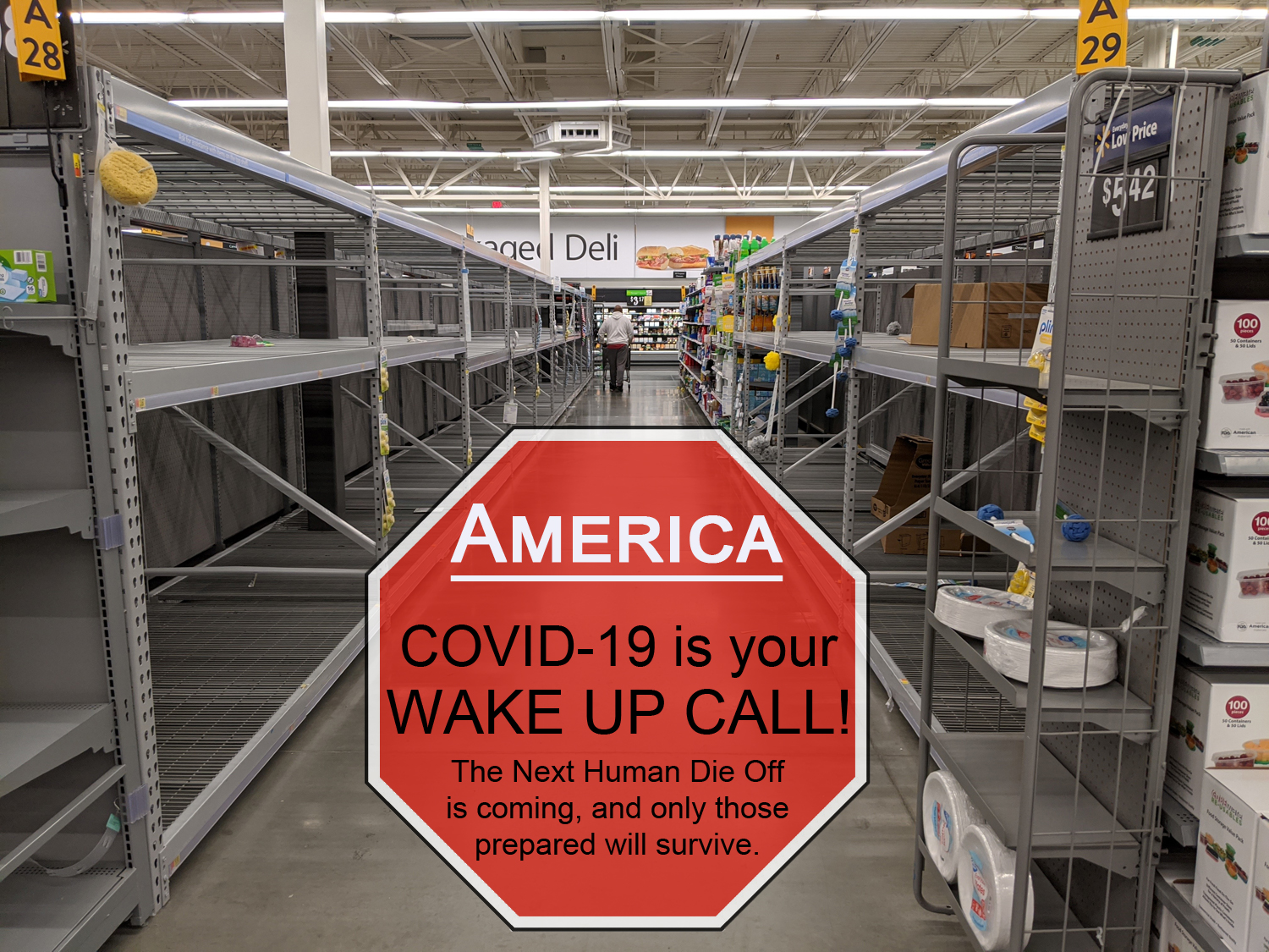 Covid-19 Has Been a Wake-up Call for America.  Are We Ready for the Next Die Off?